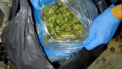 İl Emniyet Müdürlüğü Narkotik Suçlarla Mücadele ekipleri tarafından gerçekleştirilen operasyonda,