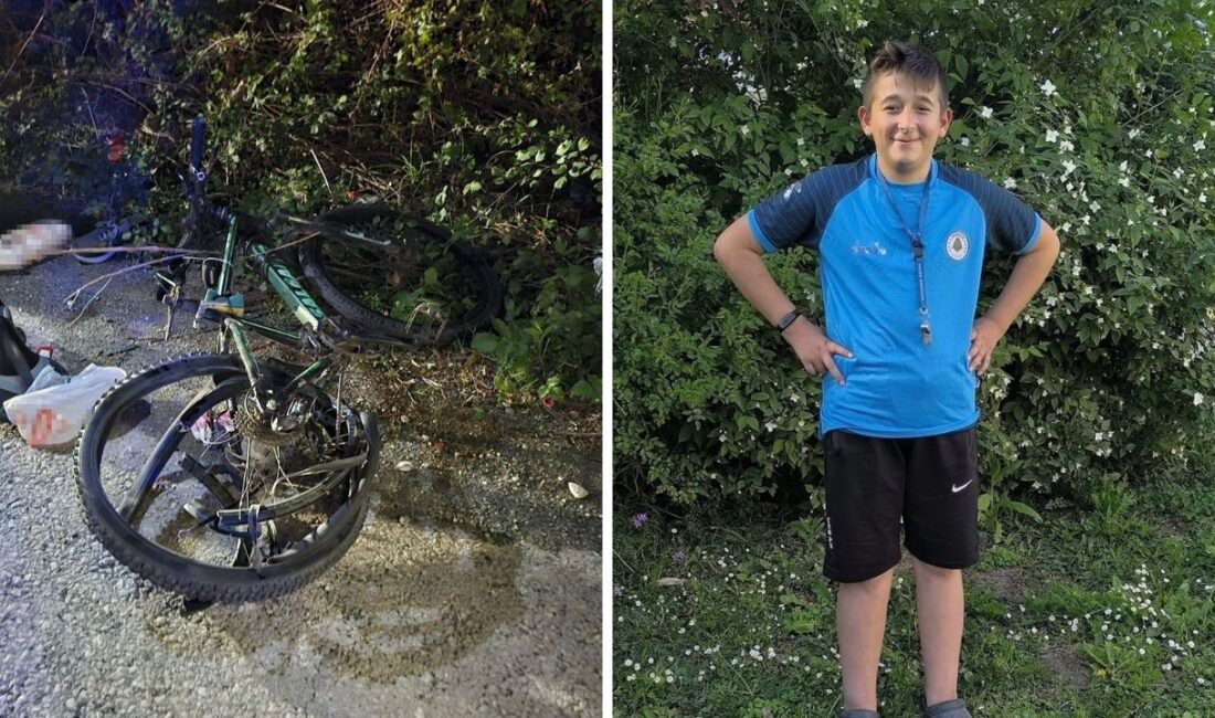 Sakarya’nın Hendek ilçesinde meydana gelen trafik kazasında, cipin çarptığı 14