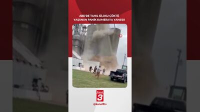 ABD’nin Illinois eyaletine bağlı Martinton köyünde soya fasulyesi dolu bir
