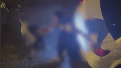 İstanbul Bahçelievler’de gece saatlerinde tasmasız ve ağızlıksız gezdirdiği pitbull cinsi