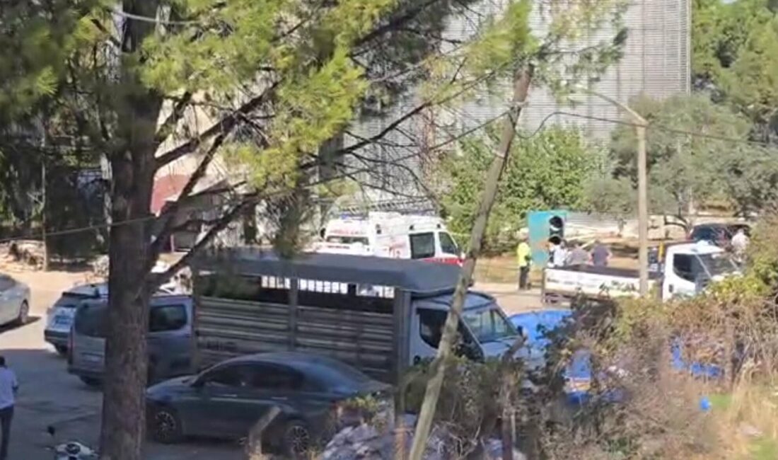 Muğla’nın Milas ilçesinde, Milas-Yatağan yolundaki bir yem fabrikasında saat 11.30