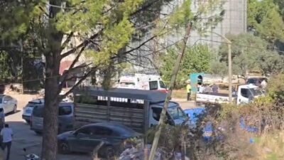 Muğla’nın Milas ilçesinde, Milas-Yatağan yolundaki bir yem fabrikasında saat 11.30