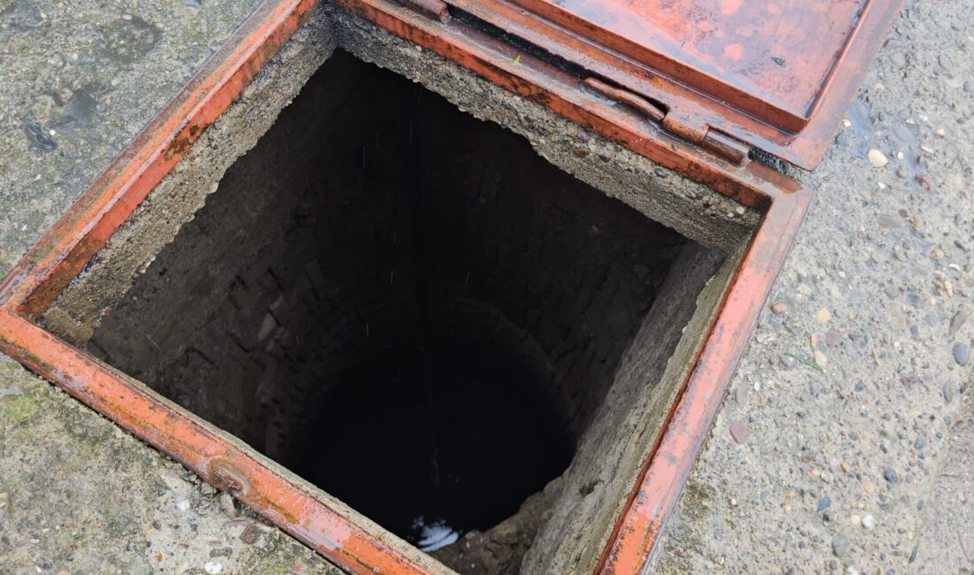 Zonguldak’ın Çaycuma ilçesine bağlı Perşembe beldesi Koramanlar köyü kırsalında 19