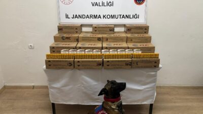 Edinilen bilgilere göre, Dinar ilçesinde adli makamlardan alınan arama kararı