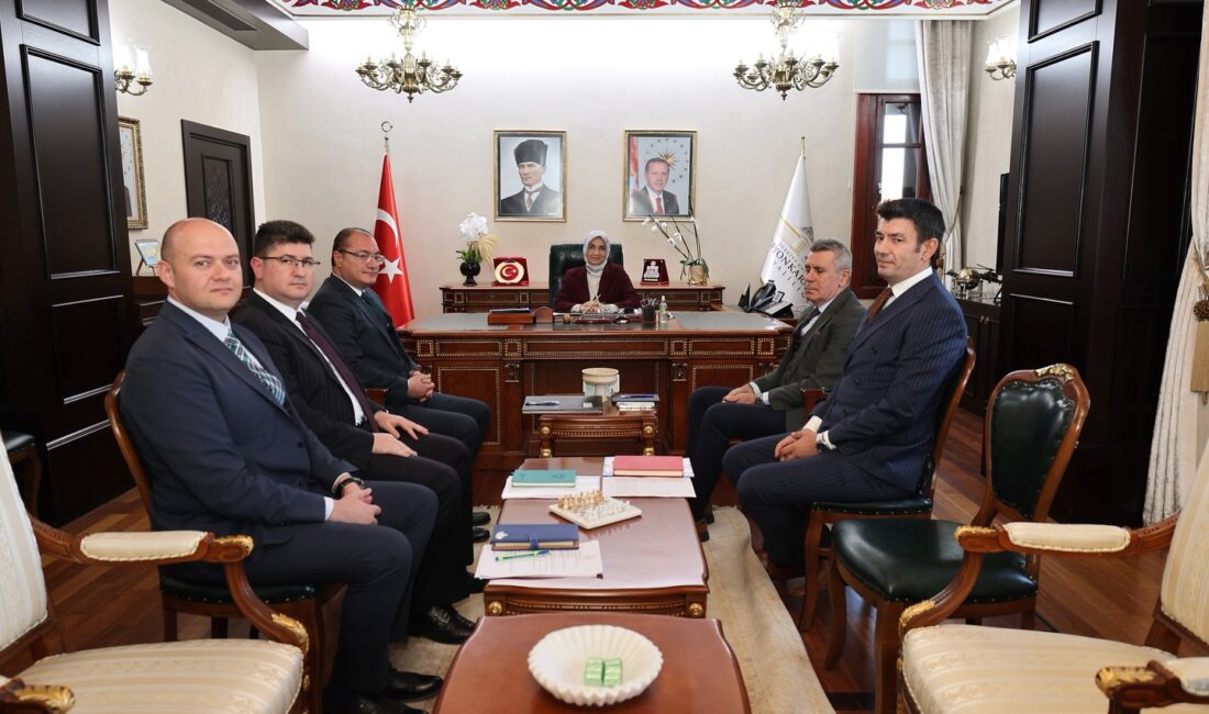 Vali Doç. Dr. Kübra Güran Yiğitbaşı başkanlığında, il genelinde yürütülen