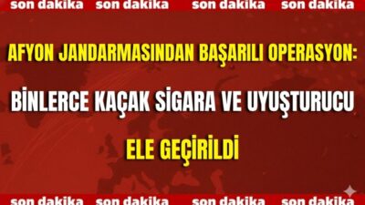 Afyonkarahisar İl Jandarma Komutanlığı ekipleri, yürüttükleri titiz çalışmalar sonucunda Merkez