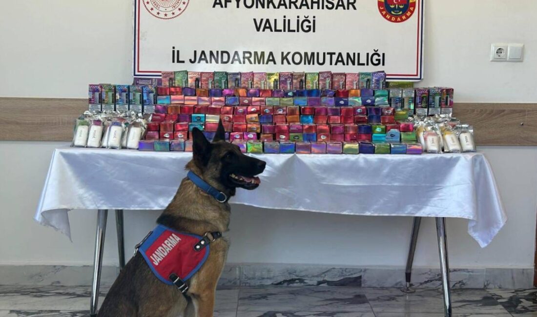 Afyonkarahisar İl Jandarma Komutanlığı tarafından yürütülen titiz çalışmalar neticesinde, adli