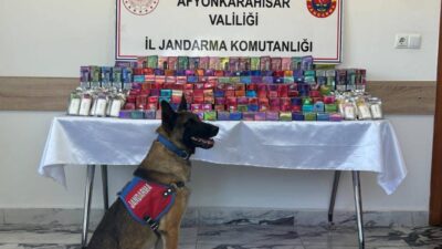 Afyonkarahisar İl Jandarma Komutanlığı tarafından yürütülen titiz çalışmalar neticesinde, adli