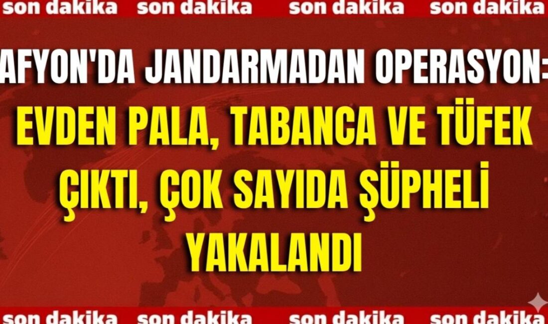Afyonkarahisar İl Jandarma Komutanlığı tarafından yürütülen titiz çalışmalar sonucunda, merkez