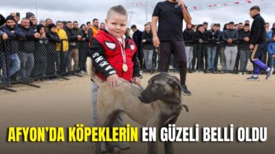 Afyonkarahisar Belediyesi’nin bu yıl ikincisini düzenlediği Köpek Güzellik Yarışması, Tomris