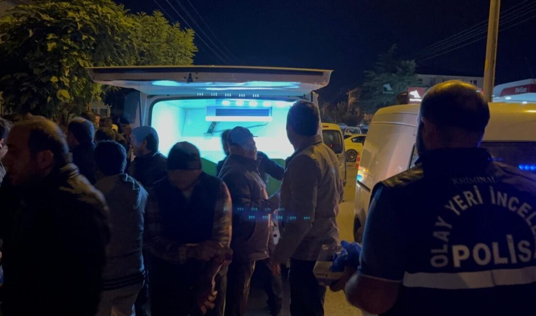 AFYONKARAHİSAR (AA) – Afyonkarahisar'ın Bolvadin ilçesinde hafif ticari aracın çarptığı