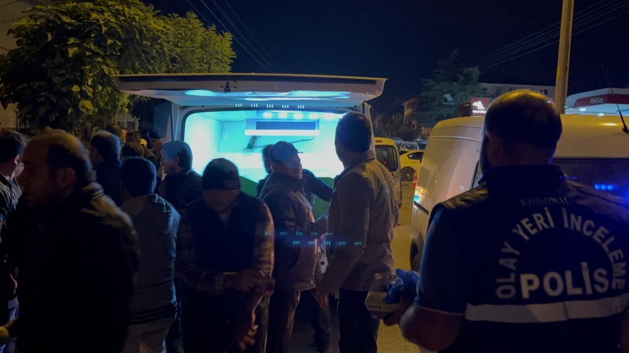 AFYONKARAHİSAR (AA) – Afyonkarahisar'ın Bolvadin ilçesinde hafif ticari aracın çarptığı