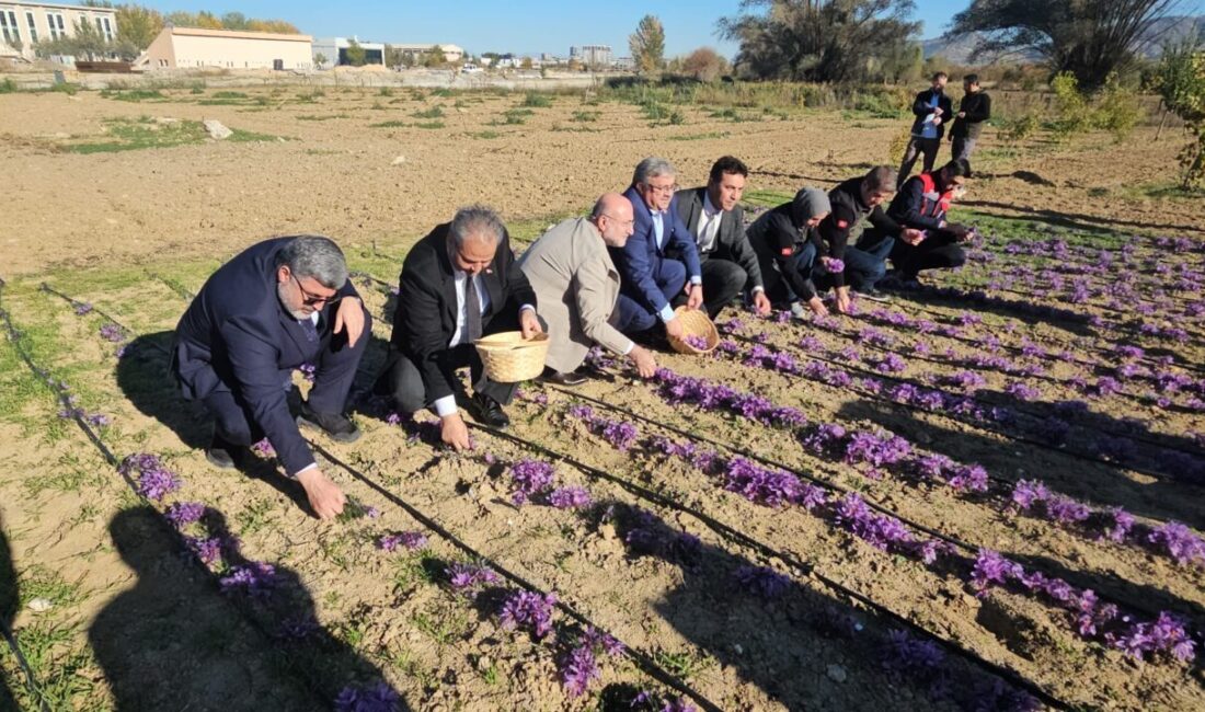 AFYONKARAHİSAR (AA) – Afyonkarahisar Sağlık Bilimleri Üniversitesi (AFSÜ) tarafından tıbbi