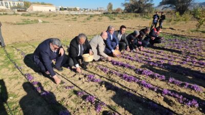 AFYONKARAHİSAR (AA) – Afyonkarahisar Sağlık Bilimleri Üniversitesi (AFSÜ) tarafından tıbbi