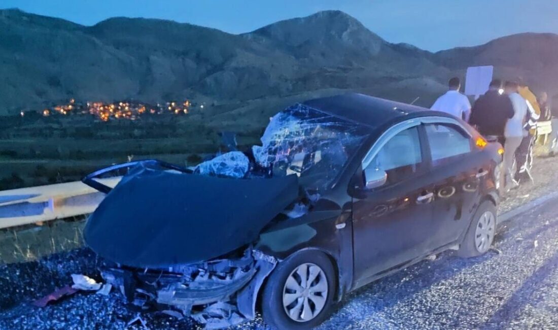 AFYONKARAHİSAR (AA) – Afyonkarahisar'ın Çay ilçesinde tır ile otomobilin çarpışması