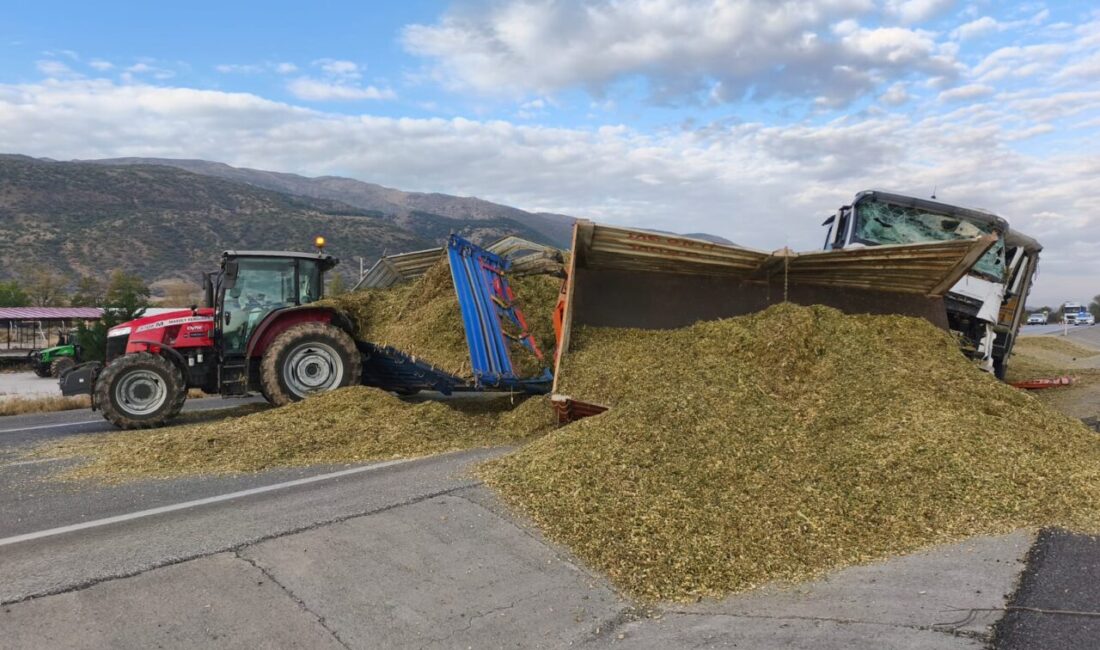 AFYONKARAHİSAR (AA) – Afyonkarahisar'ın Çay ilçesinde tırın traktör yem yüklü