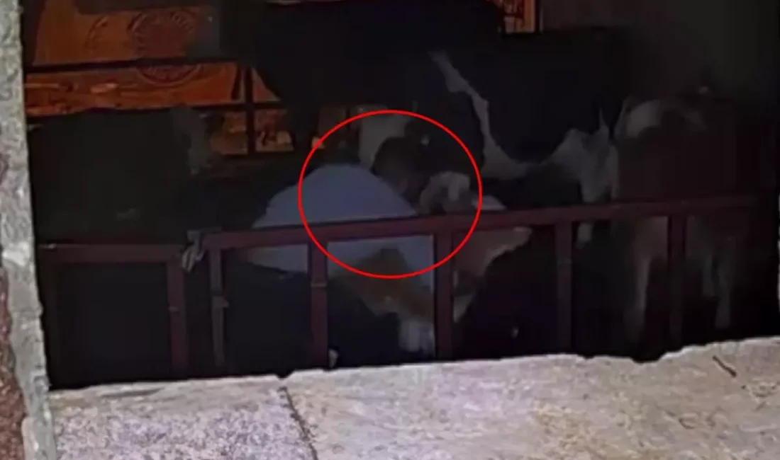 Adıyaman merkez Bahçecik Mahallesi’nde meydana gelen olayda iki kişi, Mehmet