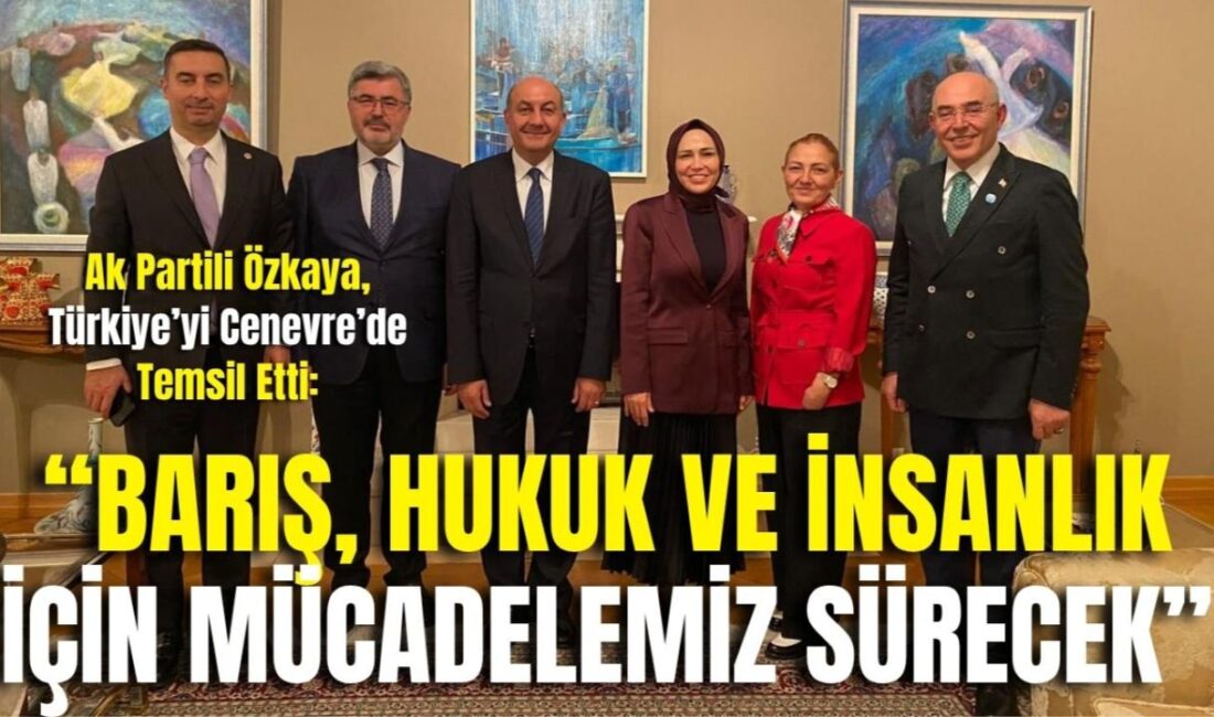 AK Parti Afyonkarahisar Milletvekili Ali Özkaya, Türkiye Büyük Millet Meclisi