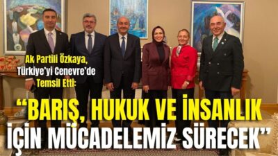 AK Parti Afyonkarahisar Milletvekili Ali Özkaya, Türkiye Büyük Millet Meclisi