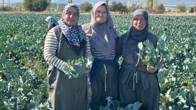 KAYMAKAM ASLAN: ALTERNATİF ÜRÜNLERLE ÜRETİM ÇEŞİTLİLİĞİ ARTIYOR Hasat etkinliğinde konuşan