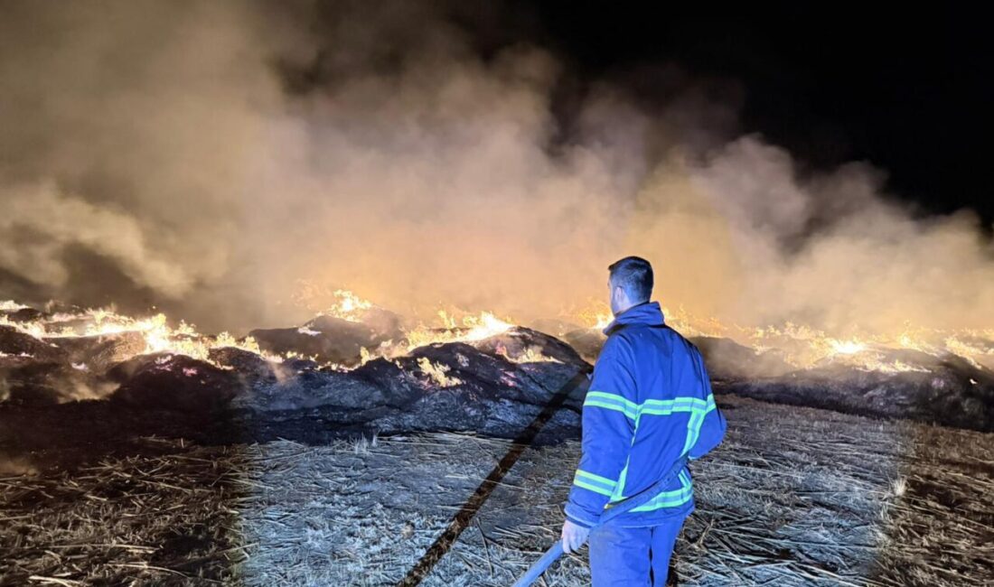 AFYONKARAHİSAR (AA) – Afyonkarahisar'ın Bolvadin ilçesinde Eber Gölü kıyısında biriktirilen