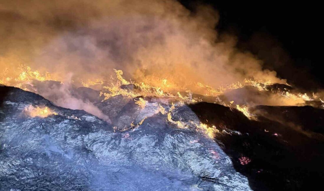 Afyonkarahisar’da Eber Gölü’nden toplanan kamışların depolandığı alanda çıkan yangında büyük
