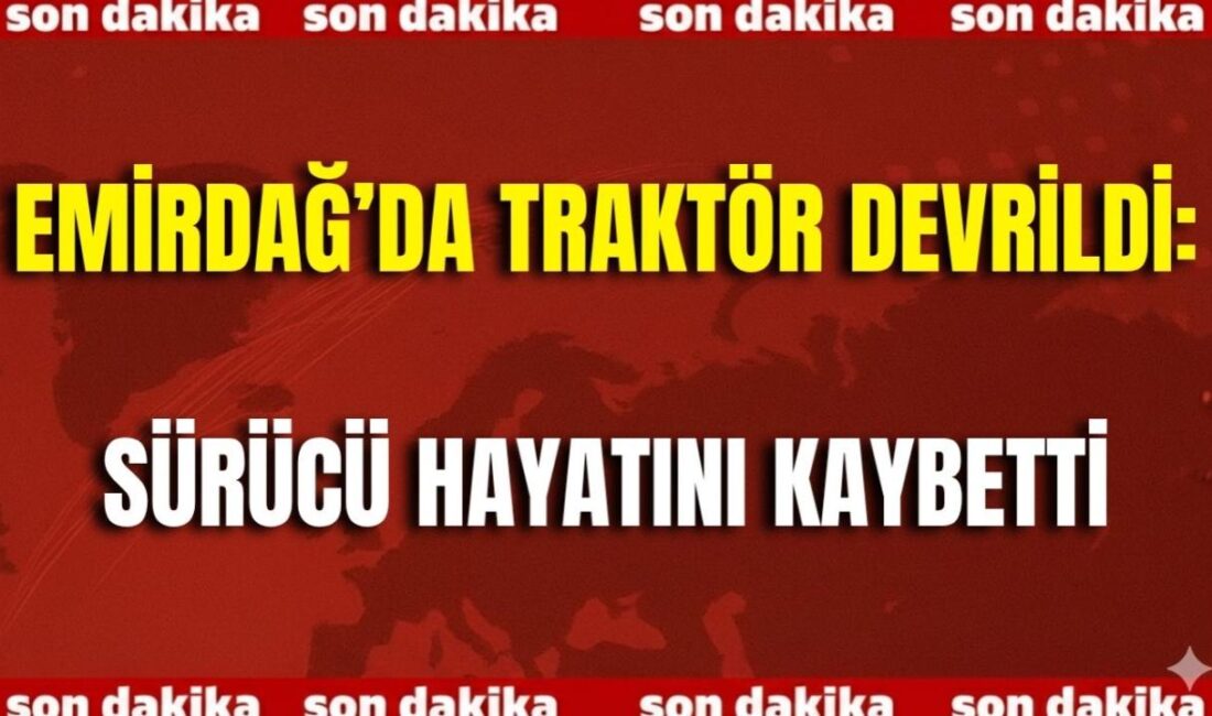 Edinilen bilgilere göre, kaza Veysel köyü yakınlarında meydana geldi. Kadir