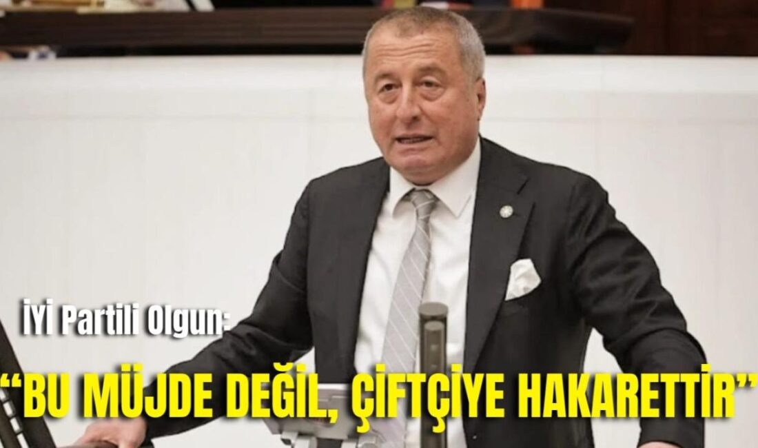 İYİ Parti Genel Başkan Yardımcısı ve Afyonkarahisar Milletvekili Hakan Şeref