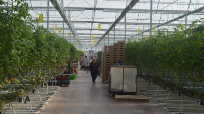 Afyonkarahisar gibi düşük ve orta düzey jeotermal enerji potansiyeline sahip