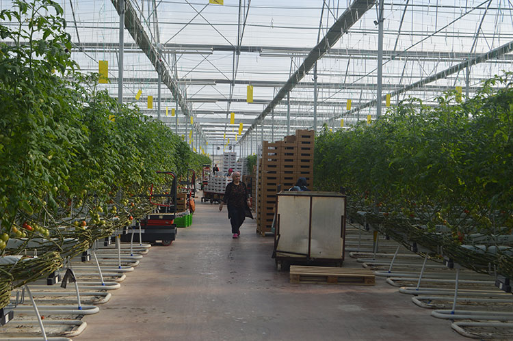 Afyonkarahisar gibi düşük ve orta düzey jeotermal enerji potansiyeline sahip