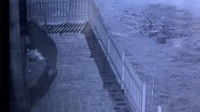 Rize’nin Pazar ilçesinde yaşayan Arif Acar, Çamlıhemşin ilçesine bağlı Başhemşin