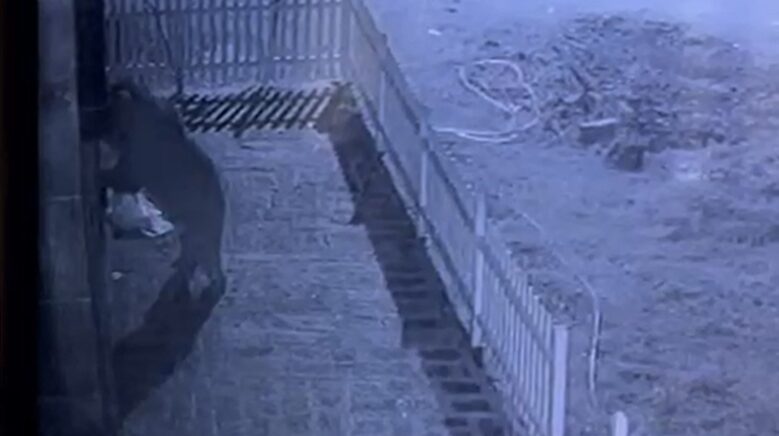 Rize’nin Pazar ilçesinde yaşayan Arif Acar, Çamlıhemşin ilçesine bağlı Başhemşin