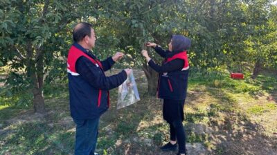 Kentin önemli tarım ürünlerinden olan ve büyük kısmı Avrupa ülkelerine
