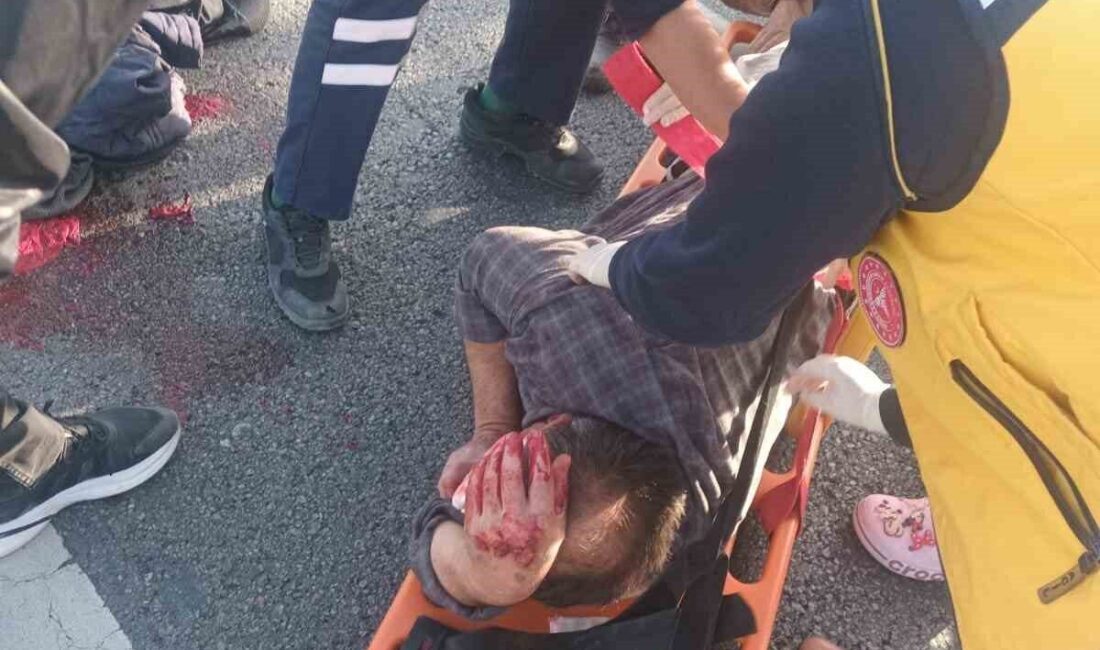 Afyonkarahisar’da aniden önüne çıkan sokak köpeğine çarpmamak için manevra yapan