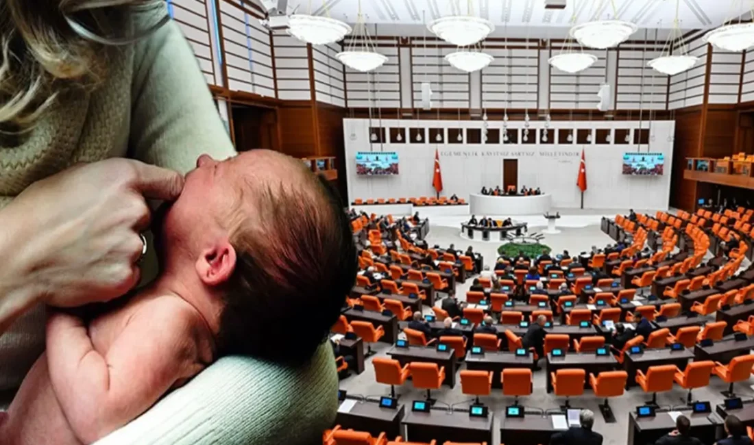 Milliyetçi Hareket Partisi Genel Başkan Yardımcısı ve Kayseri Milletvekili İsmail