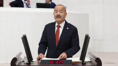 Milliyetçi Hareket Partisi (MHP) Afyonkarahisar Milletvekili Mehmet Taytak, Türkiye Büyük