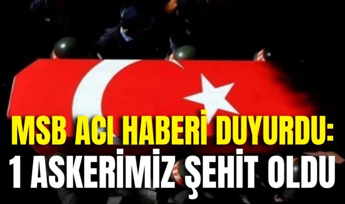 MSB’den yapılan açıklamada, “Tokat’ta görev yapmakta olan kahraman silah arkadaşımız