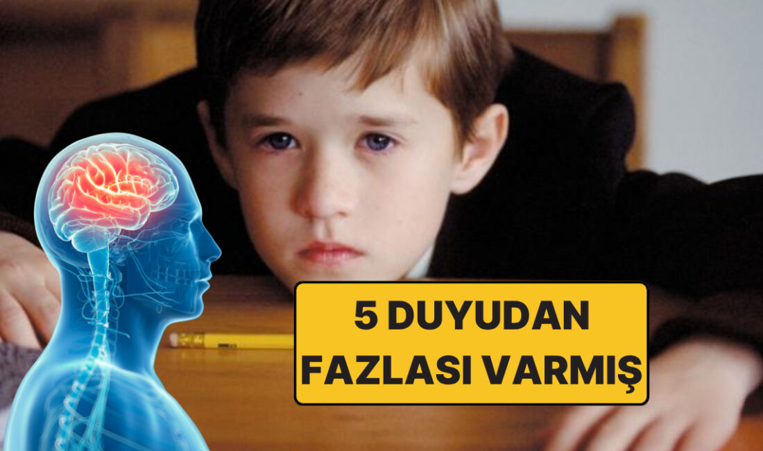 Bilim insanları, insan vücudumuzda 5 duyudan fazlası olduğunu söylüyor! Üstelik