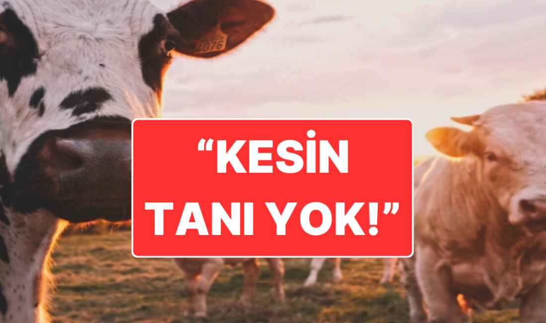 Ankara Bilkent Şehir Hastanesi’nde tedavi gören bir kişide deli dana