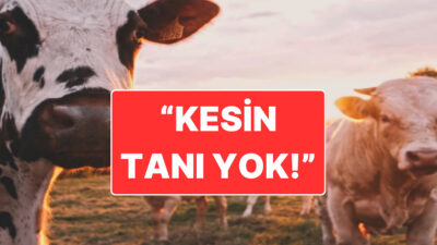 Ankara Bilkent Şehir Hastanesi’nde tedavi gören bir kişide deli dana