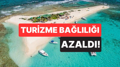Karayipler’deki küçük Anguilla Adası, internetin erken döneminde verilen “.ai” alan