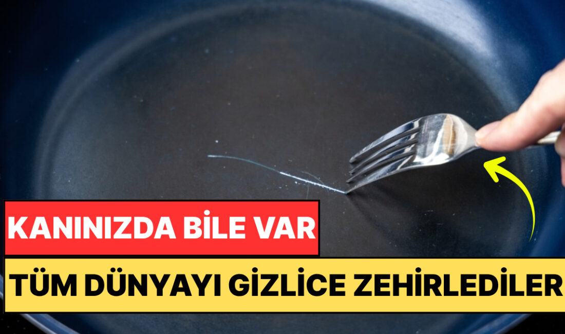 Hemen hemen gezegendeki her insanın kanında, hatta anne karnındaki bebeklerde