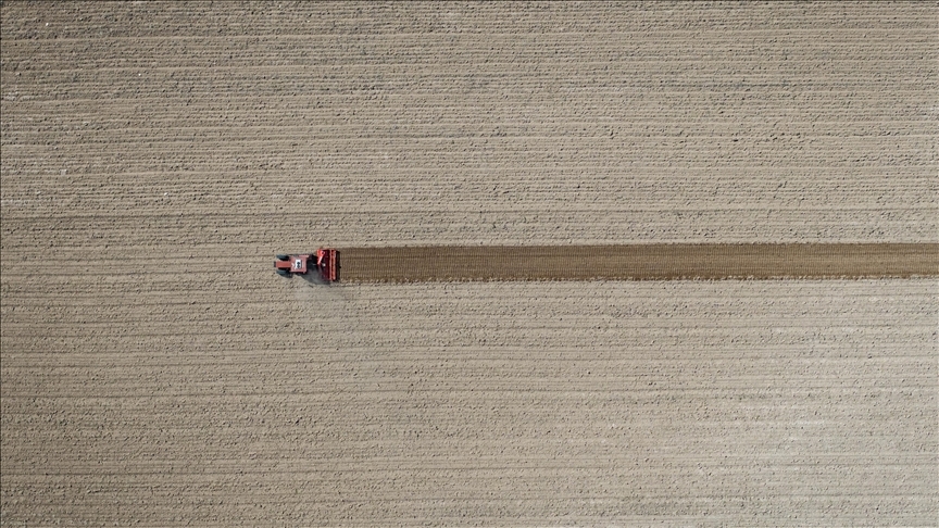 Türkiye İstatistik Kurumu (TÜİK), eylül ayına ilişkin Tarım Ürünleri Üretici