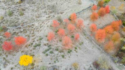 Afyonkarahisar’da sonbahar mevsiminin tüm güzellikleri yaşanmaya devam ederken, Büyükkalecik bölgesinde