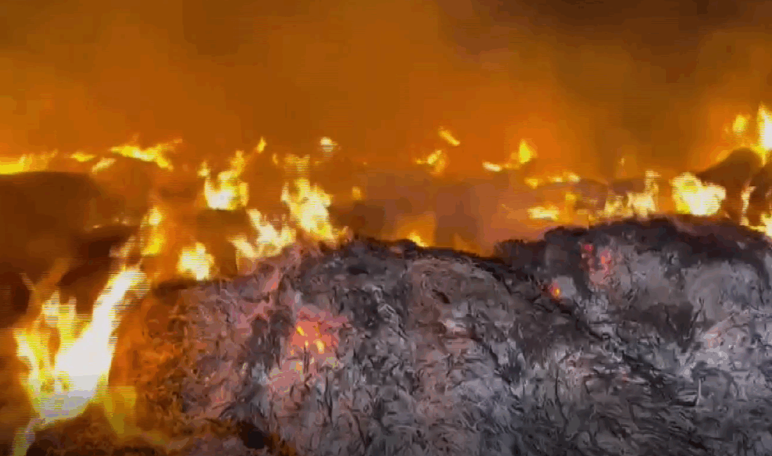 Kamış depolama alanında henüz bilinmeyen bir nedenle çıkan yangın, itfaiye