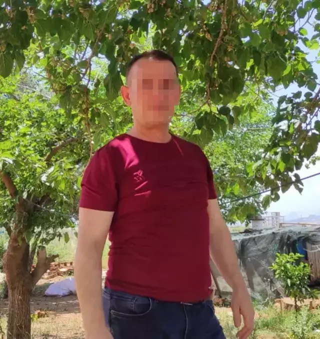 Kuzen M.K. Kuzen M.K.