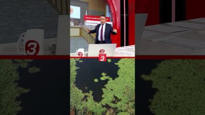 Türkiye Büyük Millet Meclisi Tarım, Orman ve Köy İşleri Komisyonu,