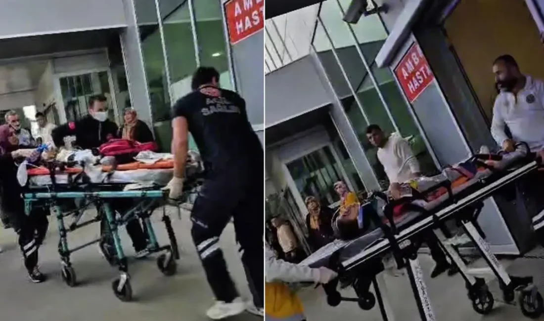 Olay, Sakarya’nın Akyazı ilçesinde meydana geldi. İddialara göre, babasına ait