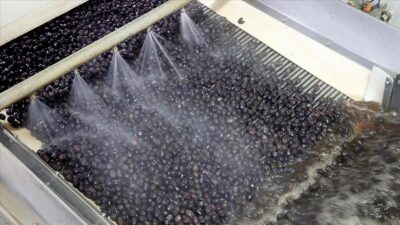 Marmara Zeytin Tarım Satış Kooperatifleri Birliği (Marmarabirlik) Yönetim Kurulu Başkanı