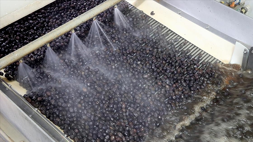 Marmara Zeytin Tarım Satış Kooperatifleri Birliği (Marmarabirlik) Yönetim Kurulu Başkanı